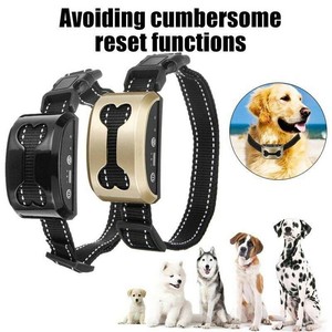 dog shock collar with sensor