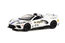 Greenlight Chevrolet Corvette C8 Stingray Coupe 2022 1:64 41150B