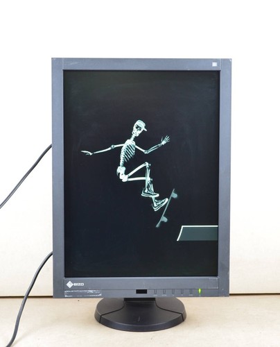 EIZO RadiForce GX240 21.3-inch wide Monochrome IPS LED Backlight 1200 x 1600 - Picture 8 of 9