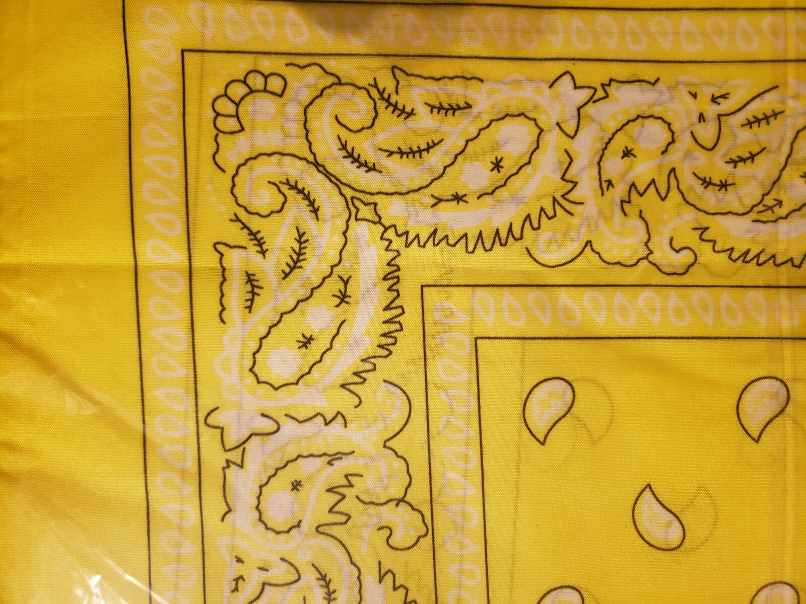 Picture 5 of 12