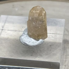 Zambian Imperial Topaz “Dragon” Crystal Specimen 1.5cm 7.65 Carats