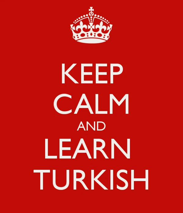 Learn Turkish - Complete Audio and Text Course on 1 CD Rom Disk - Image 4 of 4