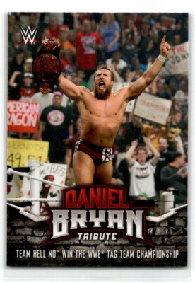 2018 Daniel Bryan Tribute Team Hell No Win the WWE Tag Team Championship #15