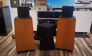 ohm walsh 2 speakers for sale