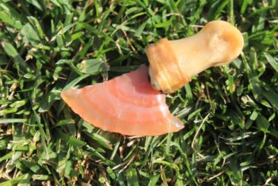 Banded Carnelian Agate Flint Knapped Knife Blade Deer Toe Bone Handle 3'' Long