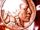 1979 BUFFALO (INDIAN HEAD) NICKEL – GRADES “GOOD”