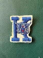 Embroidered Kentucky Wildcats Patch approx 2.75x3.5"