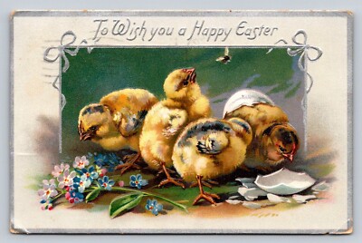c1910 Raphael Tuck Chicks Shell Hatching Happy Easter P714