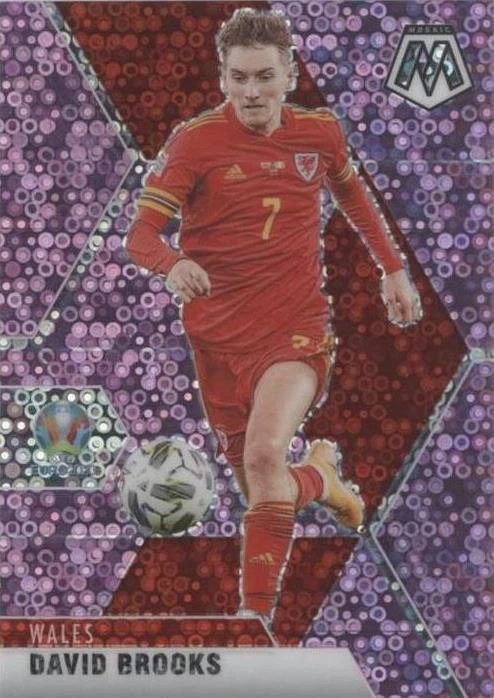 Purple Circles Prizm