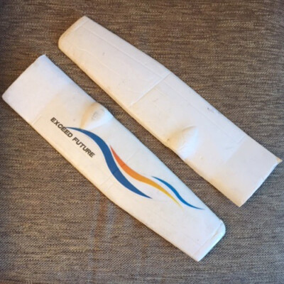 PAIR OF POLYSTYRENE BLADES MODEL EXCEED FUTURE 8904 TECHNAXX GMBH 420X105mm