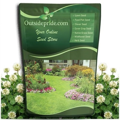 Create Erosion Free Lawn & Pasture - Outsidepride White Dutch Clover Seed 5 lbs