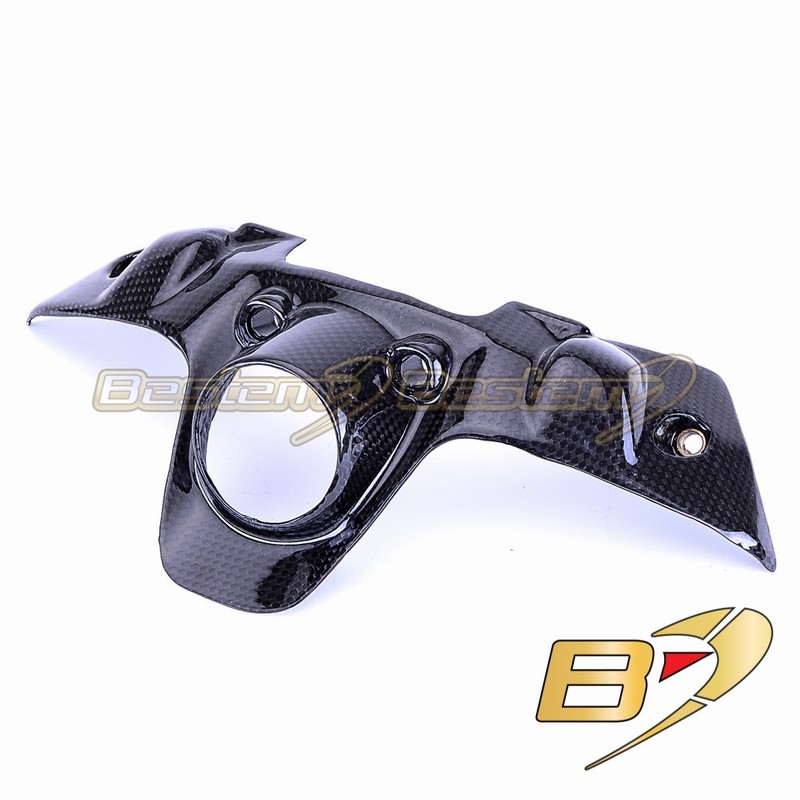 899 / 959 Panigale carbon fiber