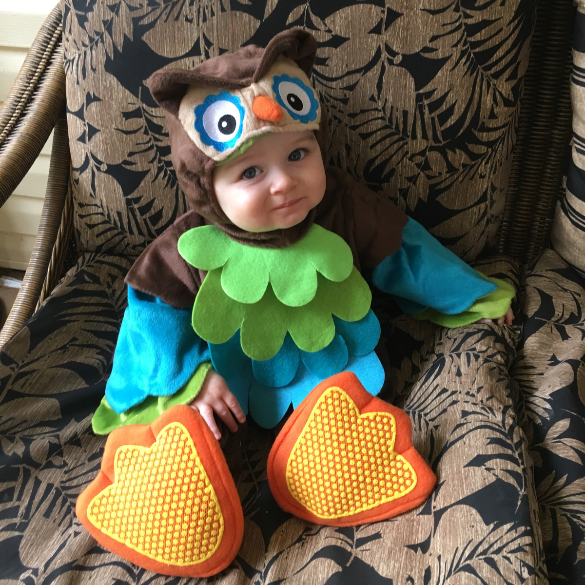 NWT CHASING FIREFLIES/INCHARACTER WHAT A HOOT OWL BABY COSTUME VARIOUS SIZES