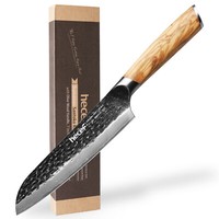 Damaskus Chef Messer Professionelles Scharfes 67 Schichten Stahl Santoku Messer
