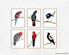 Set of Six Watercolour Native Australian Bird Prints