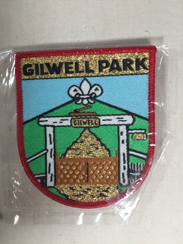 Boy Scouts UK Gilwell Park Wood Badge gmy in bag International Patch
