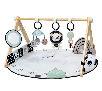 Tiny Love Luxe Developmental Gymini, Black