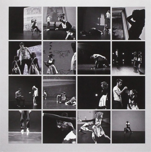 Peter Broderick Music for Falling from Trees (Vinyl LP) 12" Album