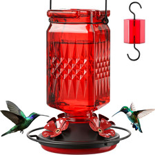 20Oz Glass Hummingbird Feeder for Outdoors Hanging, Bird Nectar Feeder with 4 Be