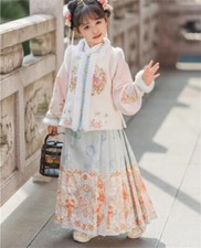 Chinese women Girl warm Dress Hanfu Embroidered Tang Suit Horse faced skirt