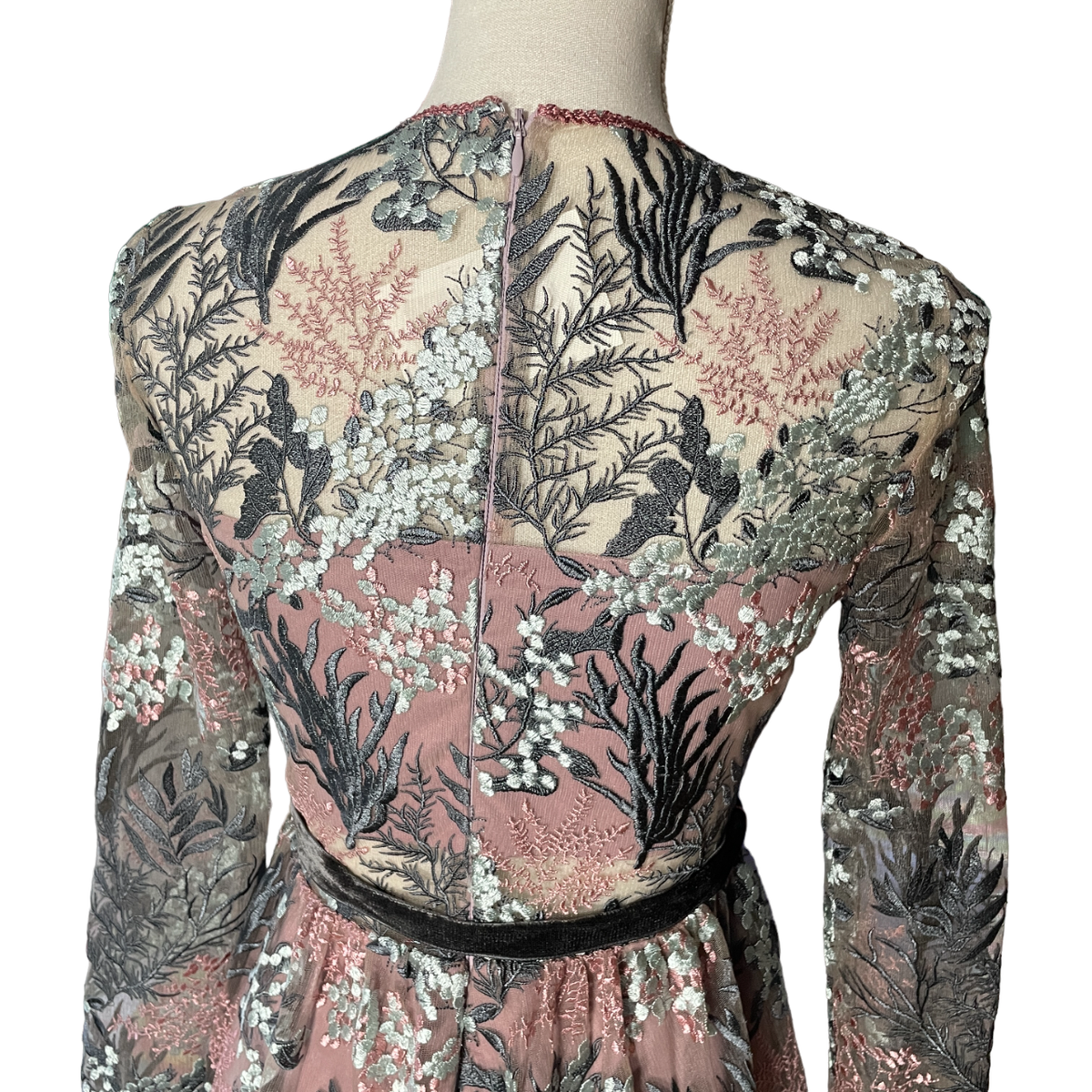 NWT Alexis Jeslyn Embroidered Illusion Gown S small maxi dress long sleeve  sheer | eBay