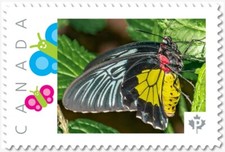 BUTTERFLY = YELLOW & BLUE = side ** Picture Postage Canada 2019 p19-04-s22 MNH