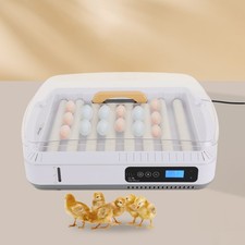 35 Eierbrutkasten Mit Automatischem Eierwenden, Brutautomat Vollautomatisch