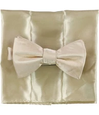 Alfani Mens Satin Neck Tie Set, gold, One Size
