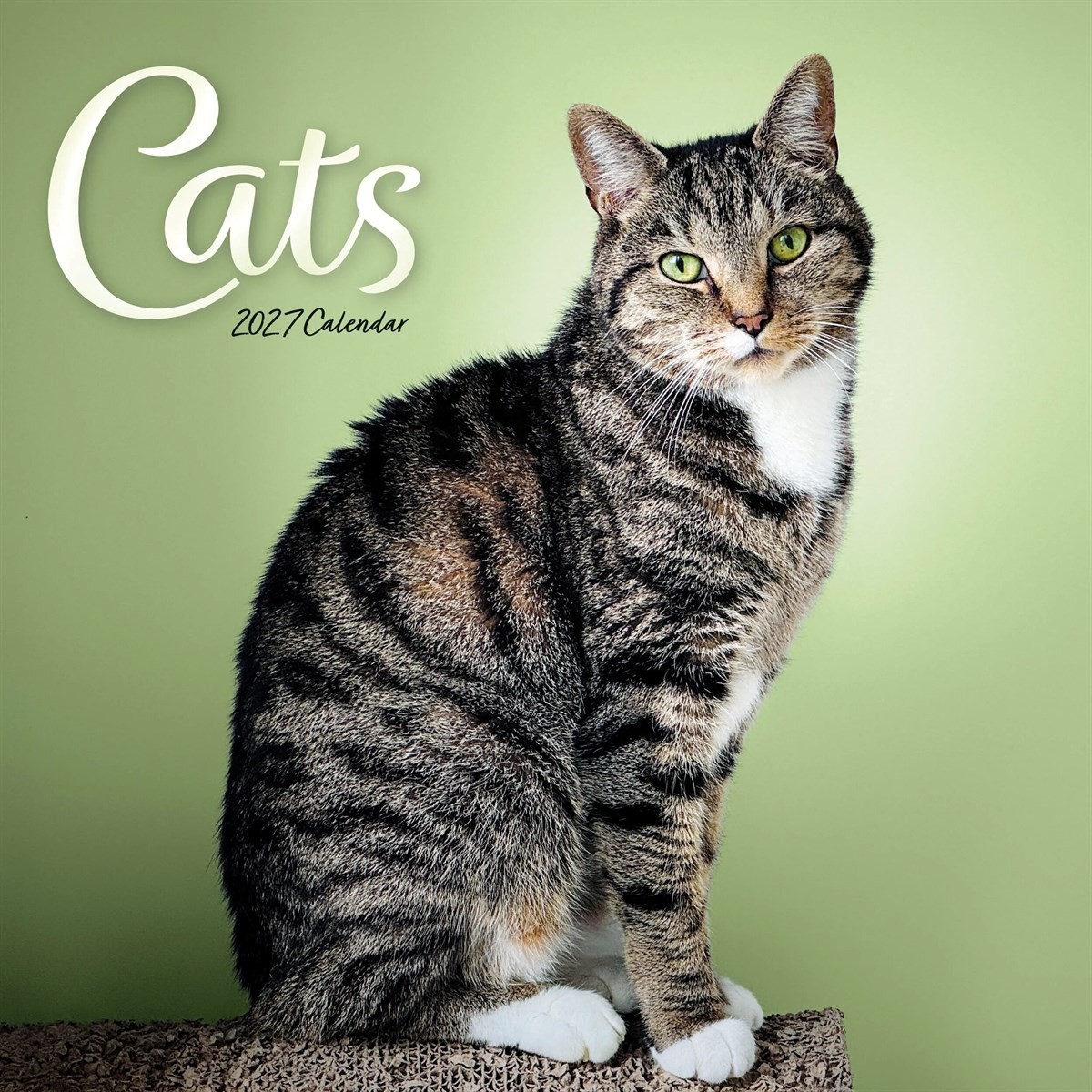 Cats Calendar 2027, Wall Calendars, Month To View, Cats, Gift