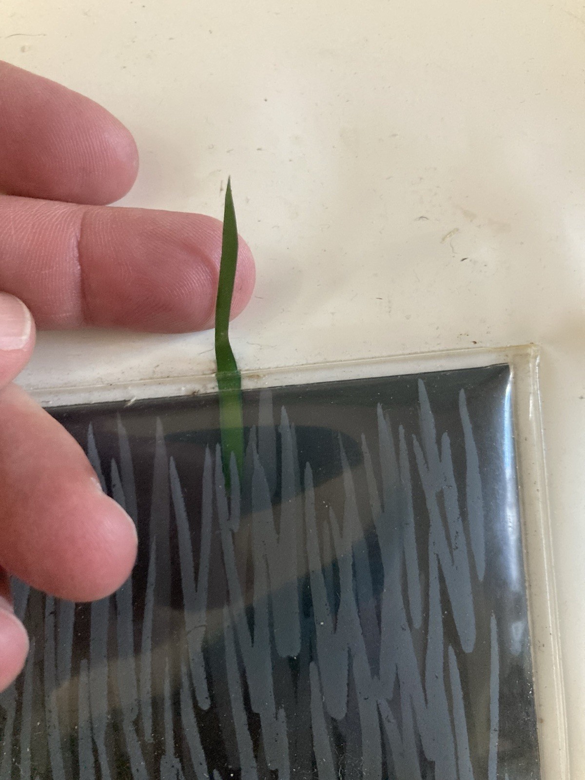 Composition Strand Grass Plastic Circa 1990 Contemporary Art To Identify XXIth