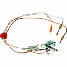 Reliance/State Ind. Reliance 170 F Ng Pilot Assembly 100109261 SAME DAY SHIPPING