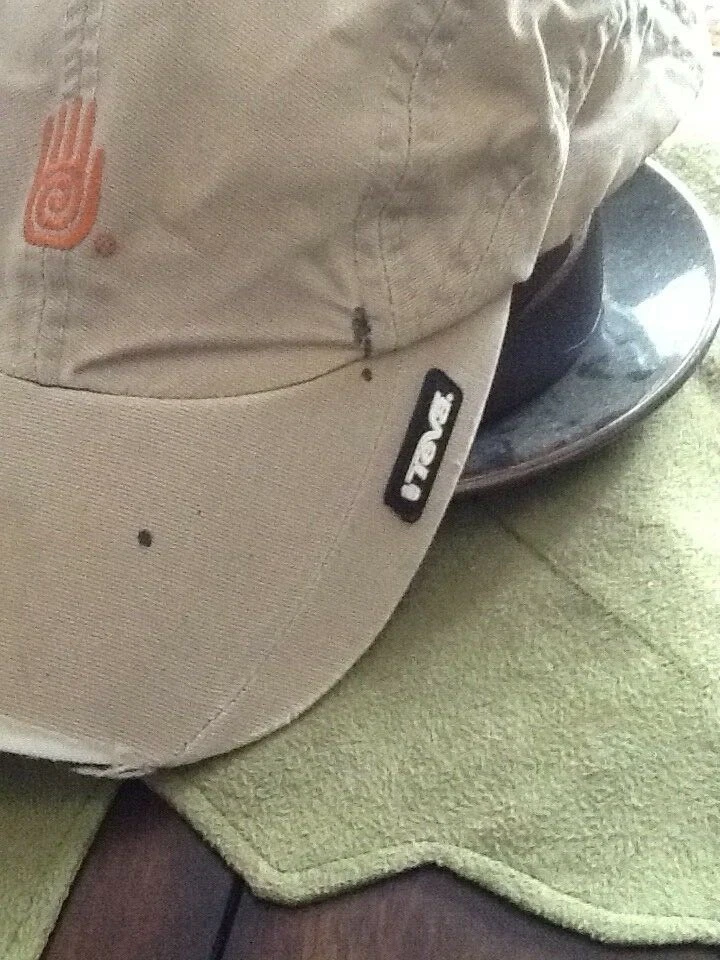 Teva hat 2025
