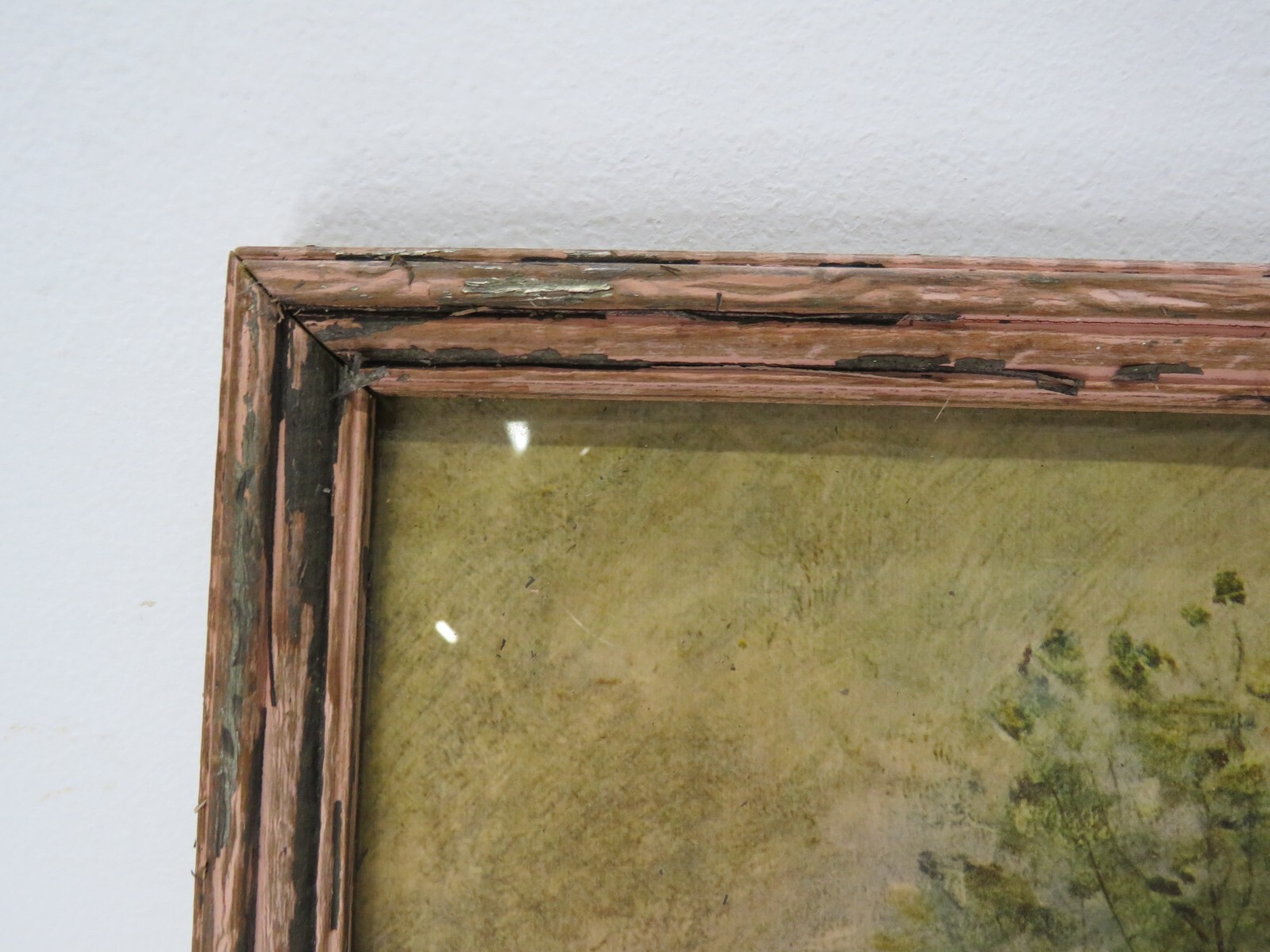 Picture 4 of 6