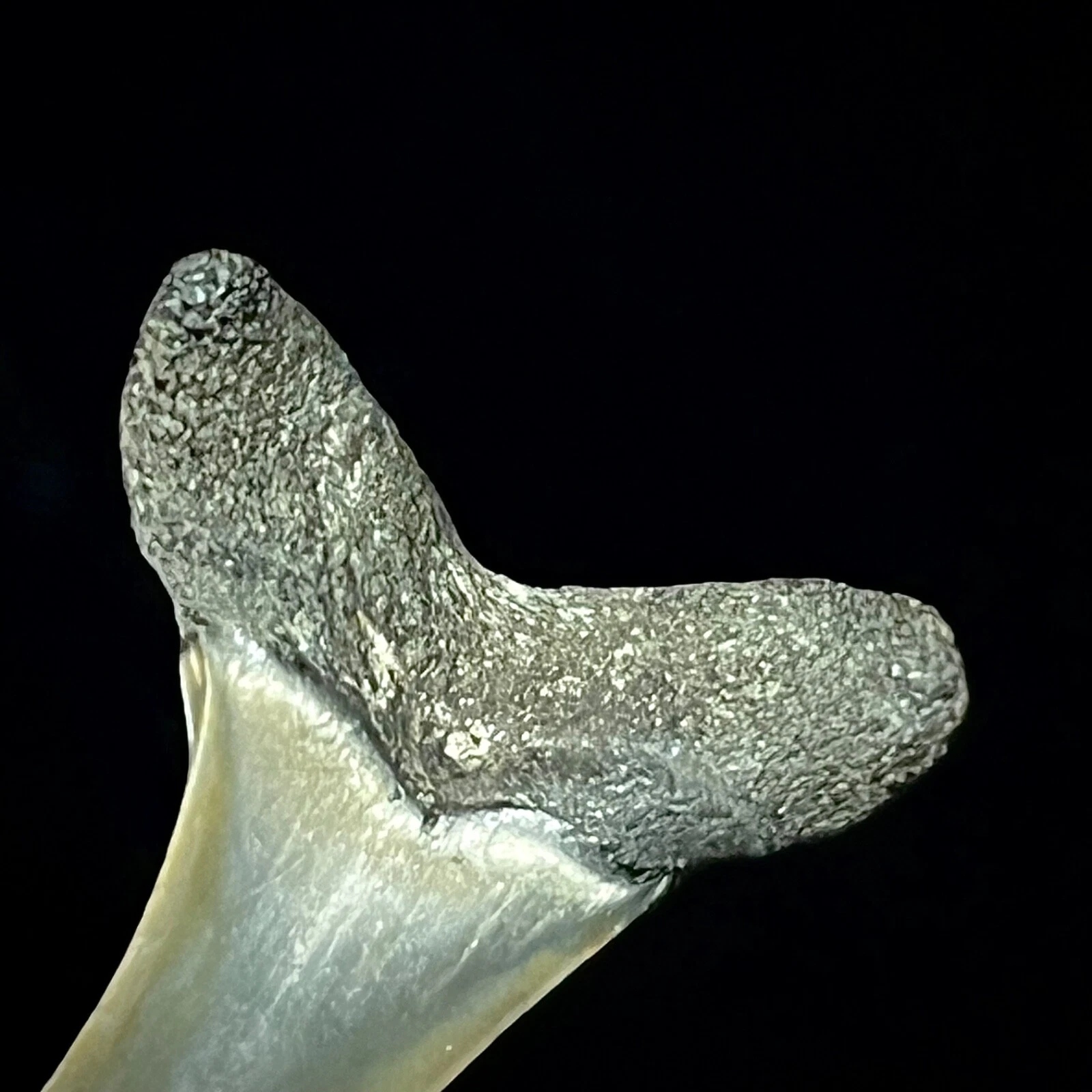 Picture 4 of 6