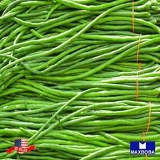 10 Oriental Yard Long - Bean Pole Fresh Seeds - Non-GMO Heirloom Vegetable