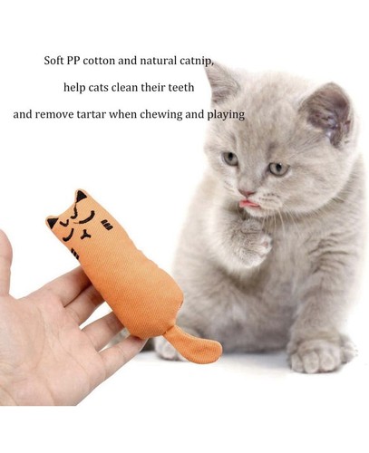 CATNIP PET CAT KITTEN TOY CHEW TEETH CLEANING + 2 In 1 Pointer LED Light Chaser - Picture 2 of 9