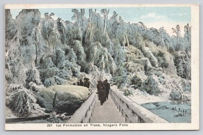 Vintage Postcard Niagara Falls NY Ice Formation on Trees Bridge New York