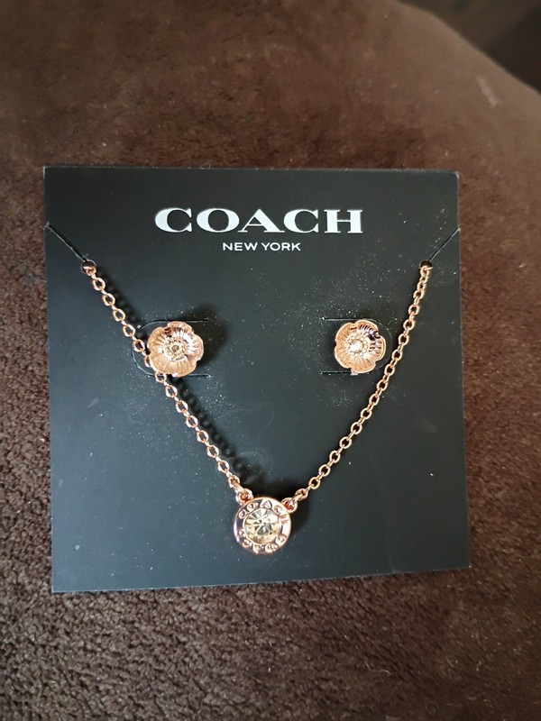 Coach Flower Open Circle Earrings And Necklace Gift Set Tea Rose Gold Tone Stud