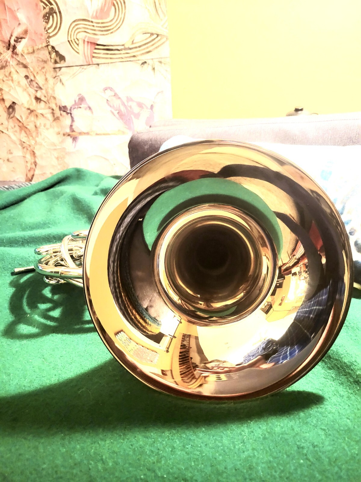 Holton H179 Farkas Professional Double French Horn Clear Lacquer (MINT COND) eBay
