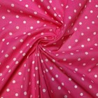Foto 99 di 281