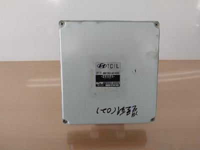 2002 Hyundai Galloper 2 Steuergerät OEM 3910042400