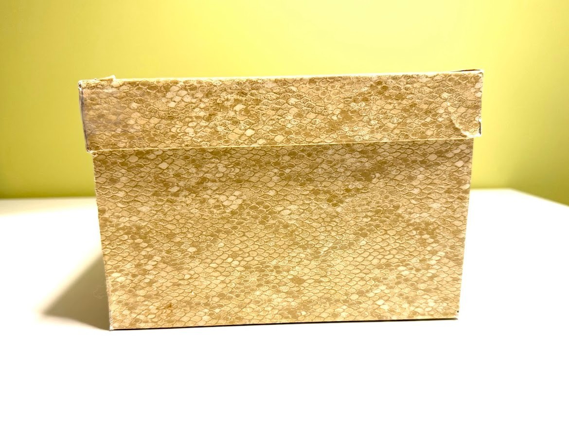 vintage Judith Leiber python bag with box, coin p… - image 20