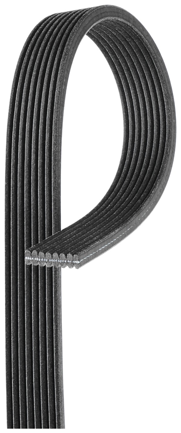 8 Rib Multi V Drive Belt 8DPK1445 Gates 9H238620CA LR011327 865310700 8DPK1444