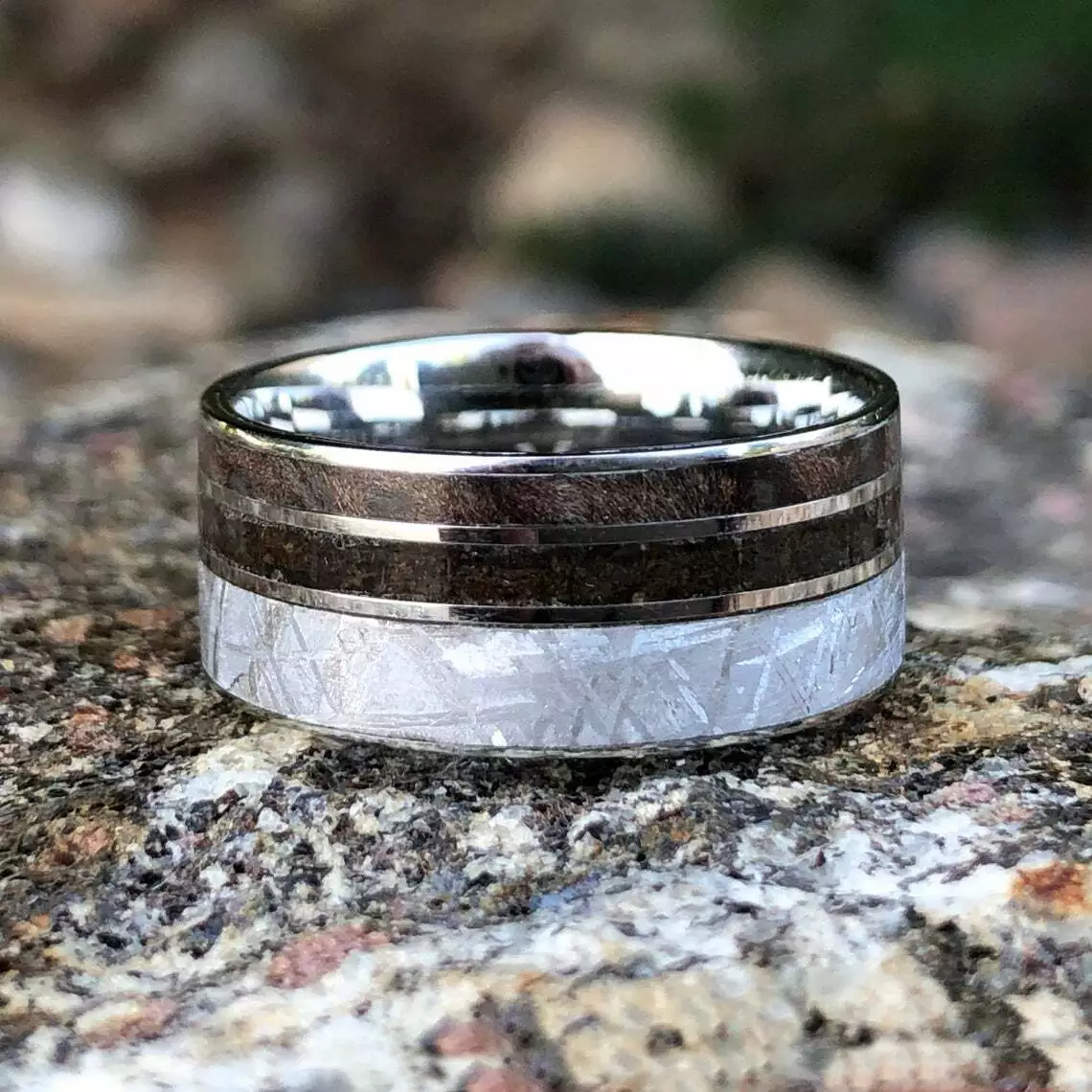 T rex shop meteorite ring