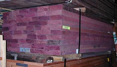 2 BOARDS EXOTIC KILN DRIED PURPLEHEART LUMBER WOOD 24'' X 6'' X 1''