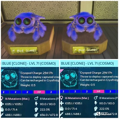 Ark Survival Ascended pve LOW LEVEL SOLID BLUE COSMO PAIR PC/XBOX/PS5