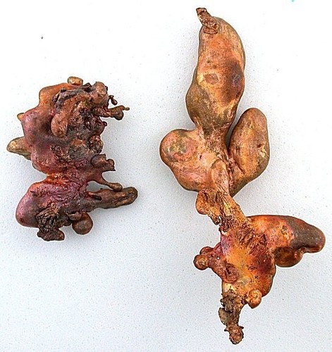 TWO ARIZONA CASTED COPPER NUGGET CN8/101123 - Picture 4 of 4