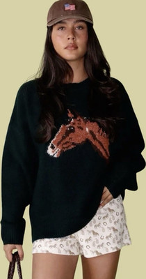 Equestrian Horse Graphic Knit Sweater NWT | Bailey Rose | S