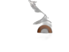 Gehl Manitou J749409 SEAL