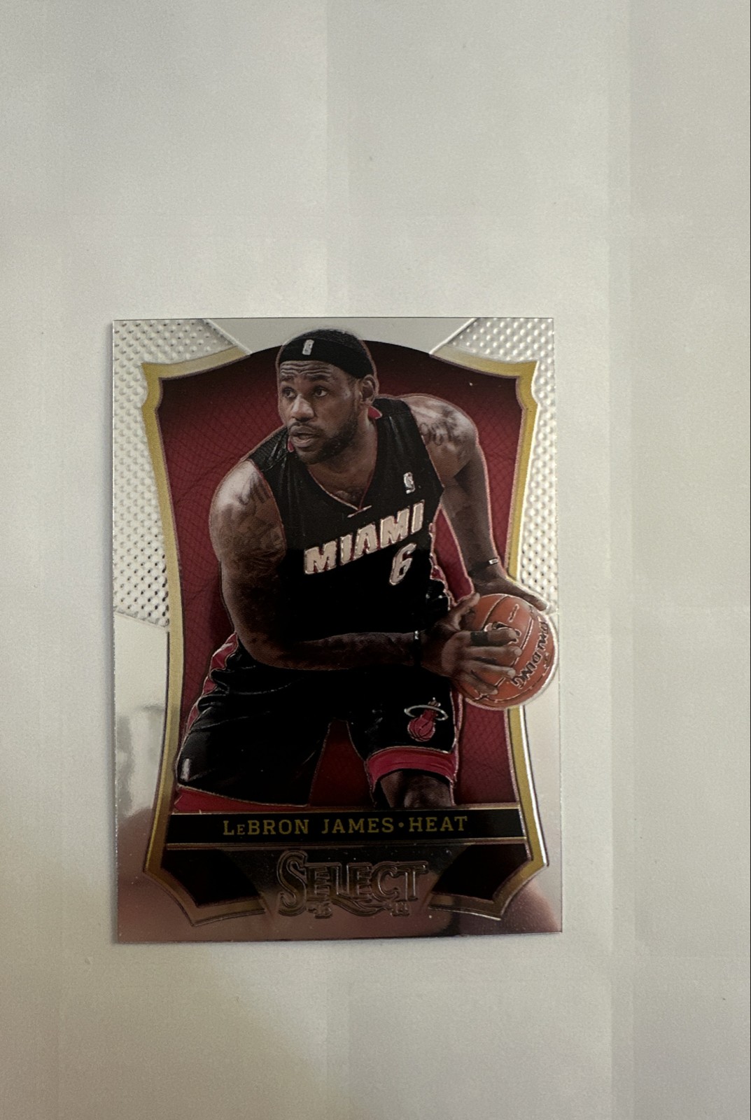 2013-14 Panini Select - LeBron James #24